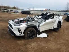 4T3T6RFV4RU172169 2024 TOYOTA RAV 4