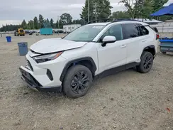 4T3T6RFV5PU128744 2023 TOYOTA RAV 4