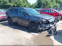 4T3T6RFV5PU131174 2023 TOYOTA RAV 4
