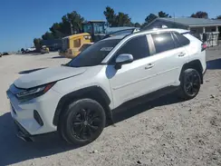 4T3T6RFV6PU109488 2023 TOYOTA RAV 4