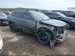 4T3T6RFV6PU112519 2023 TOYOTA RAV 4
