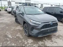 4T3T6RFV6PU123939 2023 TOYOTA RAV 4