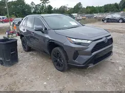 4T3T6RFV6PU135024 2023 TOYOTA RAV 4