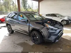 4T3T6RFV6RU159570 2024 TOYOTA RAV 4