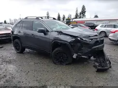 4T3T6RFV7PU116725 2023 TOYOTA RAV 4
