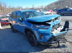 4T3T6RFV7PU119396 2023 TOYOTA RAV 4