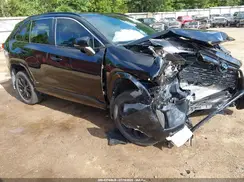 4T3T6RFV7RU146844 2024 TOYOTA RAV 4