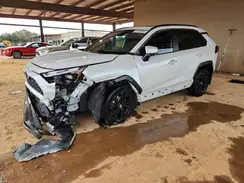 4T3T6RFV8RU166679 2024 TOYOTA RAV 4