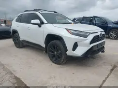 4T3T6RFV9RU149227 2024 TOYOTA RAV 4