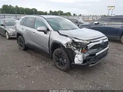 4T3T6RFVXPU128688 2023 TOYOTA RAV 4