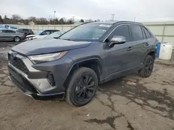 4T3T6RFVXRU158454 2024 TOYOTA RAV 4