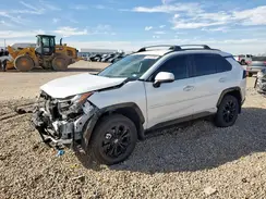 4T3T6RFVXRU158924 2024 TOYOTA RAV 4