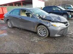 4T4BF1FK1GR523053 2016 TOYOTA CAMRY