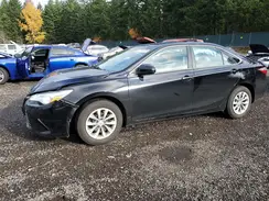 4T4BF1FK2GR523384 2016 TOYOTA CAMRY