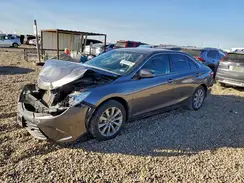 4T4BF1FK8GR526709 2016 TOYOTA CAMRY
