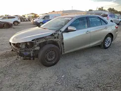 4T4BF1FK8GR542554 2016 TOYOTA CAMRY