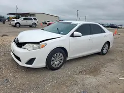 4T4BF1FKXDR289832 2019 TOYOTA CAMRY