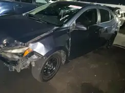 544257 2016 TOYOTA COROLLA