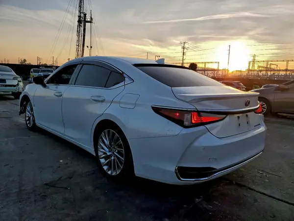 58AB21B14KU003434 2019 LEXUS ES - Image 2