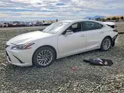 58AB21B15KU003684 2019 LEXUS ES