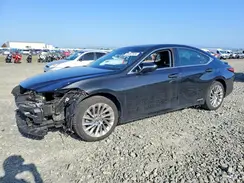 58AB21B16KU001362 2019 LEXUS ES