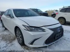 58AB21B19MU013010 2021 LEXUS ES