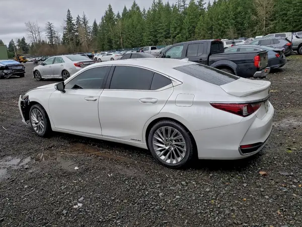 58AB21B1XKU003969 2019 LEXUS ES - Image 2
