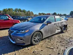 58ABK1GG2HU047034 2017 LEXUS ES