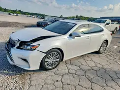 58ABK1GG3HU041923 2017 LEXUS ES