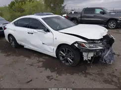 58ABZ1B10KU021067 2019 LEXUS ES
