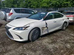 58ABZ1B10KU039276 2019 LEXUS ES