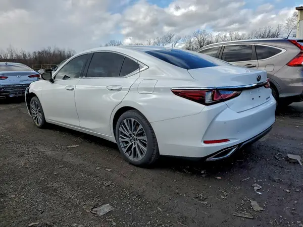 58ABZ1B10KU050617 2019 LEXUS ES - Image 2