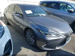58ABZ1B11KU029517 2019 LEXUS ES