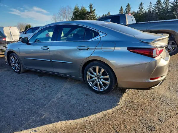 58ABZ1B12KU003055 2019 LEXUS ES - Image 2