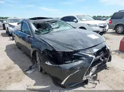 58ABZ1B12KU012161 2019 LEXUS ES