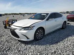 58ABZ1B12KU012645 2019 LEXUS ES