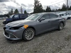 58ABZ1B12KU014055 2019 LEXUS ES