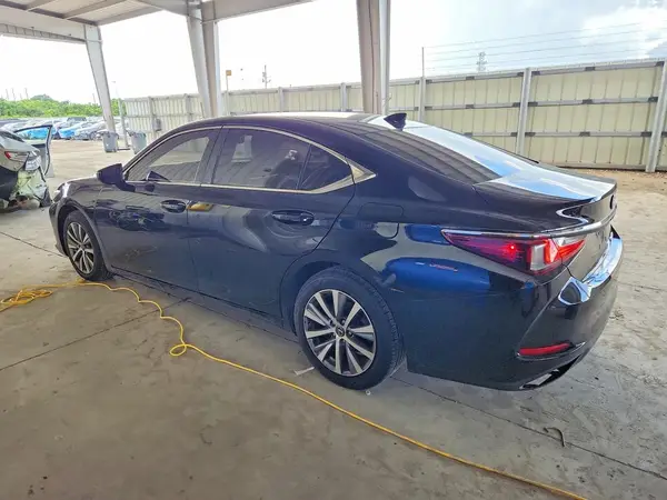 58ABZ1B12KU043880 2019 LEXUS ES - Image 2