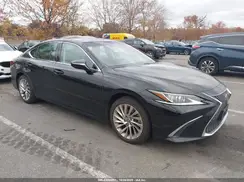 58ABZ1B13KU046657 2019 LEXUS ES