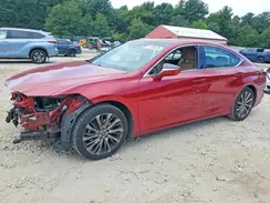 58ABZ1B14KU036395 2019 LEXUS ES