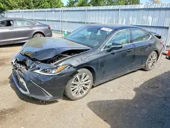 58ABZ1B14KU045551 2019 LEXUS ES