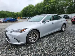 58ABZ1B15KU018391 2019 LEXUS ES