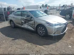 58ABZ1B15KU048281 2019 LEXUS ES