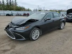 58ABZ1B16KU017024 2019 LEXUS ES