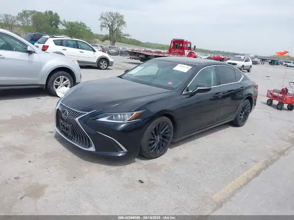 58ABZ1B17KU008512 2019 LEXUS ES - Image 2