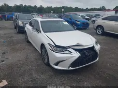 58ABZ1B17KU028467 2019 LEXUS ES