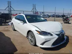 58ABZ1B17KU036827 2019 LEXUS ES