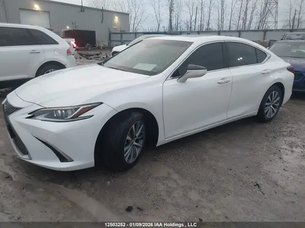 58ABZ1B17KU041462 2019 LEXUS ES - Image 2
