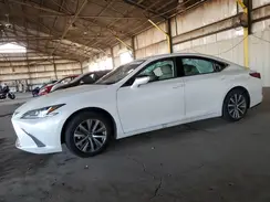 58ABZ1B17KU046256 2019 LEXUS ES