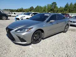 58ABZ1B17KU049318 2019 LEXUS ES